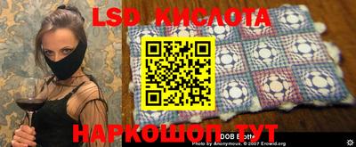 крисы Нальчик