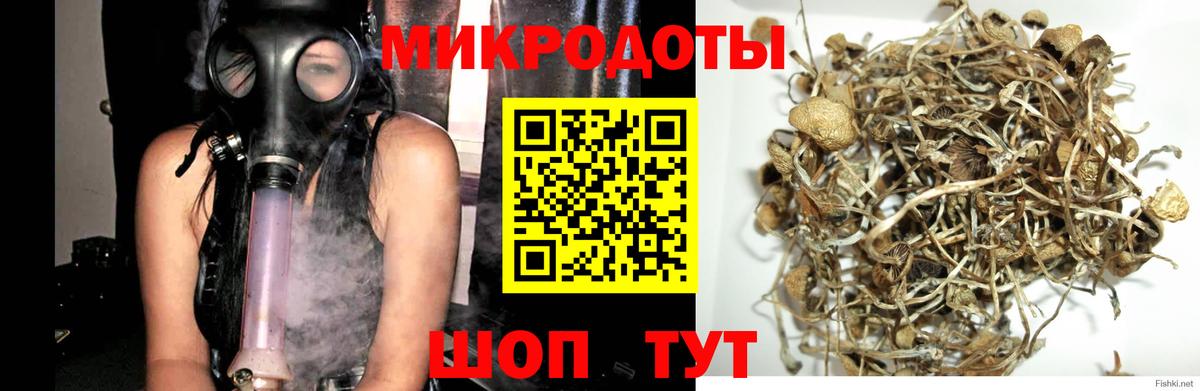 Петропавловск-Камчатский  Псилоцибиновые грибы Magic Shrooms  Вход с VPN 